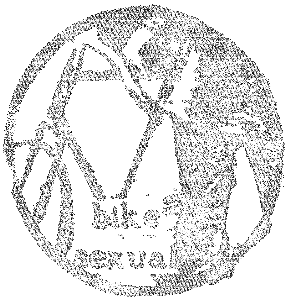 www.bikesexual.org
