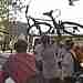 71 KB bikehead.jpg