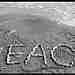 81 KB peace_on_beach.jpg